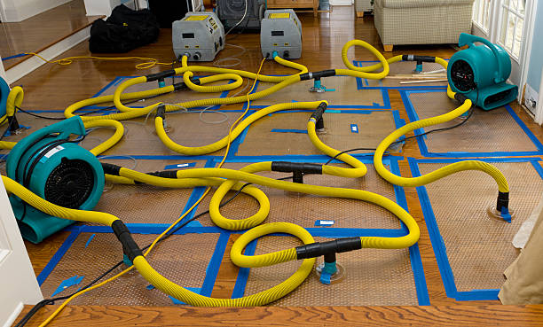 Professional Burst Pipe Water Damage technician working in Nashville, IN